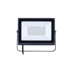 Ecolink Floodlight 100W CW TR